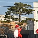 타로심리상담사(주간) 이미지
