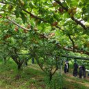 이완기농장 이미지