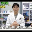 이황MSM 이미지