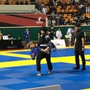 즐거웠던 델라히바컵 후기 (제주 로드FC MMA 주짓수 락온 느낌좋은 체육관)