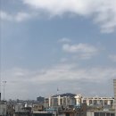 다미찬가 | 3월 언저리 이야기