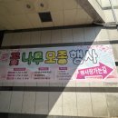 2025 서수원 하나로마트 모종시장- 고추, 가지, 오이, 애호박,토마토 등