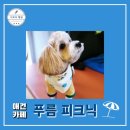 푸름피크닉 이미지