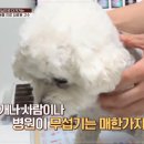 동물은 내친구 동물병원 이미지