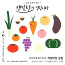 햇빛장 Daum카페