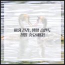 팔팔한의원 이미지