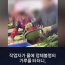 중국 줄기 상추 신선해 보이려고 초록색 염색물에 담갔다 뺌 이미지