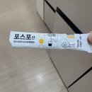 [임신] 24주 / 태교여행대신 임산부 야구직관, 임당검사, 방광염, 피비침, 마즈쿠리 보넷, D-100일