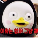 나인피스그릴 이미지