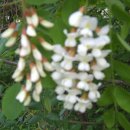 가좌체육공원 이미지