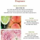 이모지오네 이미지