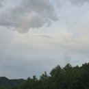 비발디의아침 티스토리