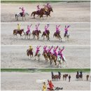 더마파크 이미지