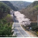 무정농장 이미지