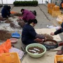 광일농원 이미지