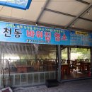 바위집염소 이미지