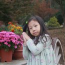 은수농장 2 이미지