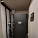 버들짐
