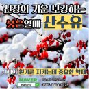 분당야탑약선당한의원 이미지