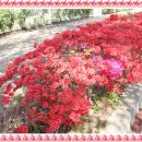 보궁요양병원 이미지