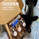 건강하개 수제간식 | 강아지 수제간식 더건강하개 건강한 애견간식 추천