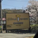 어린왕자 | 남양주 별내 서울 근교 대형카페 꽃과 어린왕자 다녀온 후기