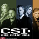 CSI:뉴욕 시즌6 - 1화~22화 이미지
