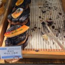 티카페청화 | 시흥 카페 청화공간 아이들과 함께 가기 좋은 야외 잔디밭 한옥 카페 주말 방문 후기