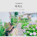 마산 회원동 카페 타치스 도심 속 정원 휴식공간