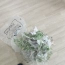 영광입주청소 홍농 상가에서 가정집 만들기 프로젝트 청년빗자루
