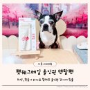 별덴탈 | 강아지 입냄새 제거 펫웨그테일 올인원 덴탈펜 강아지칫솔로 관리해요