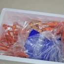 [홍게 맛집] 🦀 “성후수산” 강력 추천 후기 🦀
