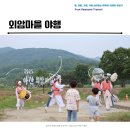 아산외암마을 야행 그리고 담벼락 예쁜 장미꽃