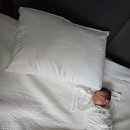 문찬수압구정성모내과의원 이미지