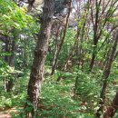 매화산주유소 이미지