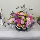 김해꽃식물원 이미지