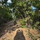 37번 | [경남 거창] 거창 숲뷰 캠핑장,‘산중오토캠핑장’ 세번째 다녀온 솔직후기(37번 사이트)