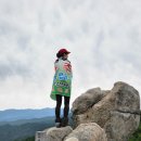 가팔환초 「계정사」~「매여동」40km / 화려한 야경에 취하다. 이미지