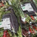 영광군푸드마켓 | 신선한 산지직송 농산물이 가득 - 대전 로컬푸드 파머스마켓 베지래빗804 골든필드(구암역)