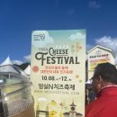 임실역 | 2025 전라도여행 가볼만한 곳 추천 임실치즈축제 임실N치즈축제 임실치즈테마파크 정보 및 방문 후기