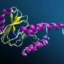 (주)이디피랩 이미지