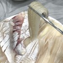 김해 진영 맛집/ 진영 횟집 맛집 회싱싱어쫄깃 진영점