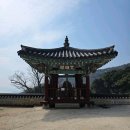 도문연가 | [조선후기] 산거잡흥(山居雜興)1~20 / 혜장(惠藏1772~1811)