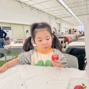 필베베팜