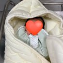 (주)효성 | 효성병원 본느마망 조리원 vvip 2주 상세한 솔직후기