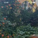 구만리로 1 이미지