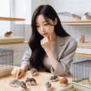 페토피아 동물병원 | 햄스터 분양 전에 확인해야 할 품종별 성격·수명과 실내 케이지 선택 기준