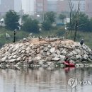 저어새 경인방송