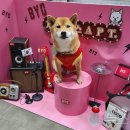 (주)메가바이어 이미지