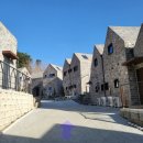 반스힐리조트 | 홍천 애견동반 숙소 반스힐 리조트 독채 풀빌라 펜션 내돈내산 후기